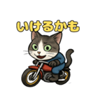 バイク猫のぶんた（個別スタンプ：17）