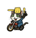 バイク猫のぶんた（個別スタンプ：18）