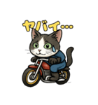 バイク猫のぶんた（個別スタンプ：20）