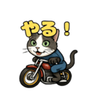 バイク猫のぶんた（個別スタンプ：21）