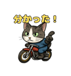バイク猫のぶんた（個別スタンプ：23）