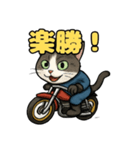 バイク猫のぶんた（個別スタンプ：24）
