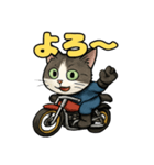 バイク猫のぶんた（個別スタンプ：25）