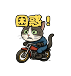 バイク猫のぶんた（個別スタンプ：27）