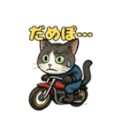 バイク猫のぶんた（個別スタンプ：29）