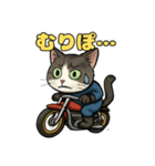 バイク猫のぶんた（個別スタンプ：30）