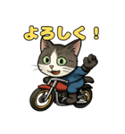 バイク猫のぶんた（個別スタンプ：31）