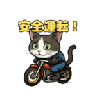 バイク猫のぶんた（個別スタンプ：33）