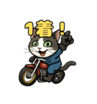 バイク猫のぶんた（個別スタンプ：34）