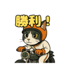 バイク猫のぶんた（個別スタンプ：37）