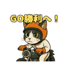 バイク猫のぶんた（個別スタンプ：38）