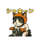 バイク猫のぶんた（個別スタンプ：39）