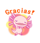 かわいいウーパールーパー(スペイン語)（個別スタンプ：2）