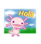かわいいウーパールーパー(スペイン語)（個別スタンプ：3）