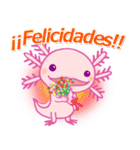 かわいいウーパールーパー(スペイン語)（個別スタンプ：4）
