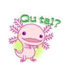 かわいいウーパールーパー(スペイン語)（個別スタンプ：5）
