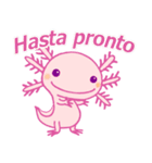 かわいいウーパールーパー(スペイン語)（個別スタンプ：7）