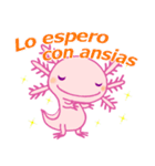 かわいいウーパールーパー(スペイン語)（個別スタンプ：22）