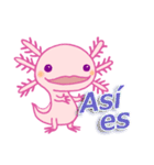 かわいいウーパールーパー(スペイン語)（個別スタンプ：23）