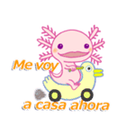 かわいいウーパールーパー(スペイン語)（個別スタンプ：27）