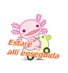 かわいいウーパールーパー(スペイン語)（個別スタンプ：28）
