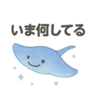 [日常会話]きらきら*ゆるふわ水族館（個別スタンプ：13）