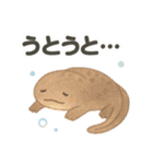 [日常会話]きらきら*ゆるふわ水族館（個別スタンプ：40）