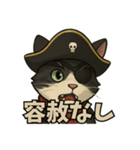 海賊猫のキャプテンぶんた（個別スタンプ：9）