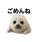 優しいワモンアザラシの日常スタンプ（個別スタンプ：8）