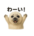 優しいワモンアザラシの日常スタンプ（個別スタンプ：10）