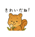 リス日本語バージョン（個別スタンプ：13）