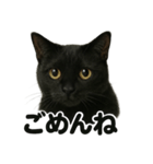 優しい黒猫の日常で使えるLINEスタンプ（個別スタンプ：3）