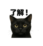 優しい黒猫の日常で使えるLINEスタンプ（個別スタンプ：6）