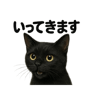 優しい黒猫の日常で使えるLINEスタンプ（個別スタンプ：7）