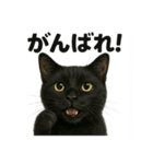 優しい黒猫の日常で使えるLINEスタンプ（個別スタンプ：9）