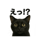 優しい黒猫の日常で使えるLINEスタンプ（個別スタンプ：12）