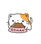 動く！猫ちゃんズ！（個別スタンプ：1）