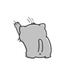 動く！猫ちゃんズ！（個別スタンプ：13）
