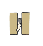 動く！猫ちゃんズ！（個別スタンプ：16）
