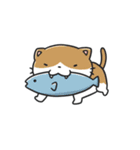 動く！猫ちゃんズ！（個別スタンプ：19）