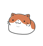 動く！猫ちゃんズ！（個別スタンプ：20）