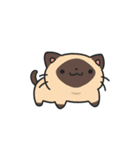 動く！猫ちゃんズ！（個別スタンプ：23）