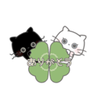 ネコのピノとモモ（個別スタンプ：15）