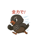 ヤンバルクイナの日常スタンプ（個別スタンプ：10）