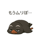 ヤンバルクイナの日常スタンプ（個別スタンプ：13）
