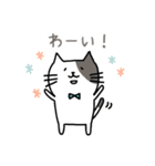 ねこまろのつぶやき（個別スタンプ：19）
