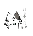 ねこまろのつぶやき（個別スタンプ：22）