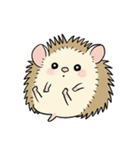 おにぎりみたいな、ハリネズミ。（個別スタンプ：1）