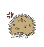 おにぎりみたいな、ハリネズミ。（個別スタンプ：4）