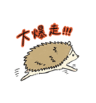 おにぎりみたいな、ハリネズミ。（個別スタンプ：6）